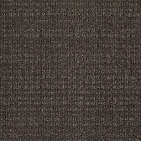 Shaw Floors Nfa/Apg Craftsman Iron Gate