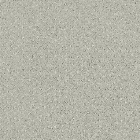 Shaw Floors Nfa/Apg Pure Instinct Offshore Mist