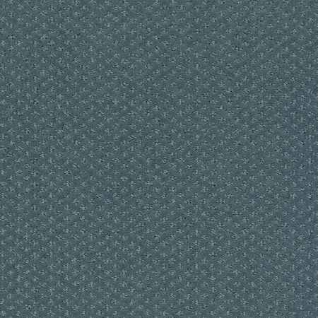 Shaw Floors Nfa/Apg Pure Instinct Voyage