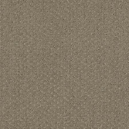 Shaw Floors Nfa/Apg Pure Instinct Abbey Stone