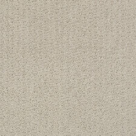 Shaw Floors Nfa/Apg Lose Control Quiet Moment