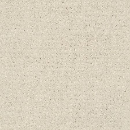 Shaw Floors Nfa/Apg Well Mannered Alabaster