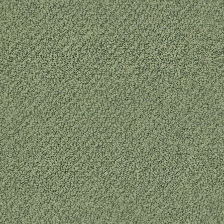 Shaw Floors Nfa/Apg Culture Club Lush Garden