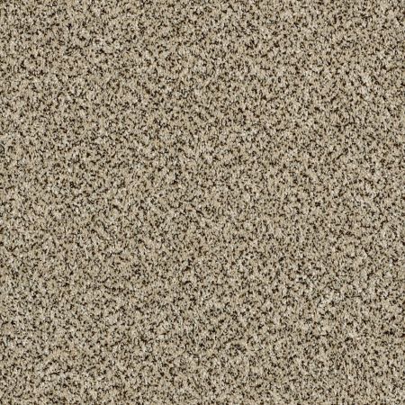 Shaw Floors Stunning I 15 Ivory Coast