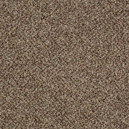 Shaw Floors Stunning II 15 Worn Path