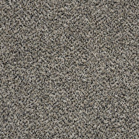 Shaw Floors Stunning III 12 Birch Tree