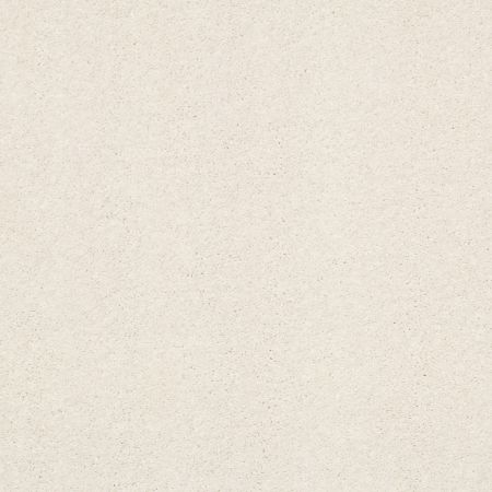 Shaw Floors Nfa Rule Breaker Oatmeal