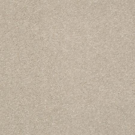 Shaw Floors Nfa Rule Breaker Arctic Fox