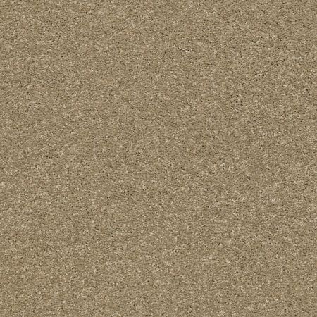 Shaw Floors Nfa Rule Breaker Gold Rush