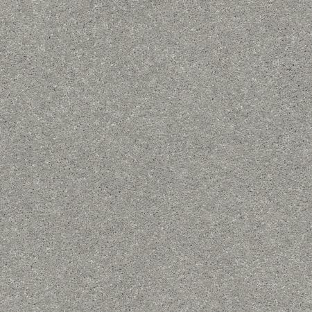 Shaw Floors Nfa Rule Breaker Sterling