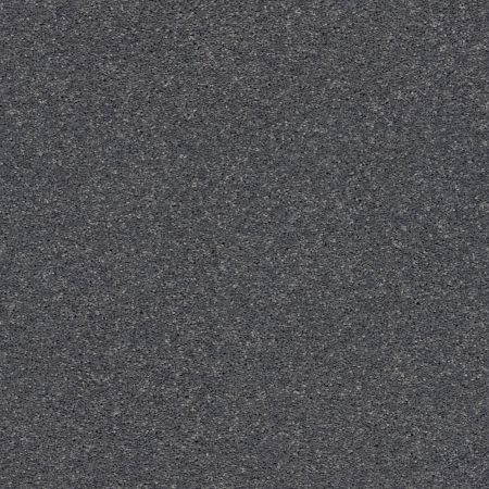 Shaw Floors Nfa Rule Breaker Steel