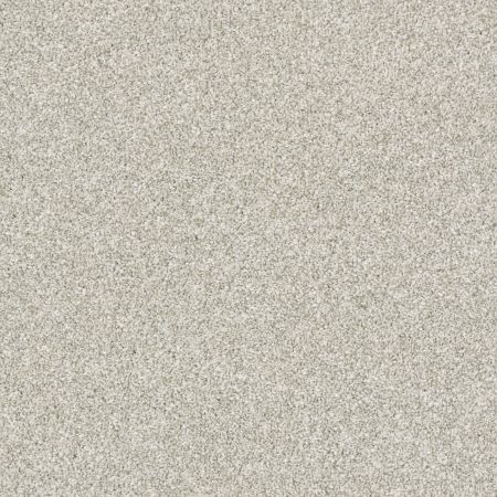 Shaw Floors Nfa Just A Touch I Platinum