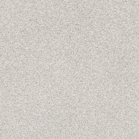 Shaw Floors Nfa Just A Touch I Nickel