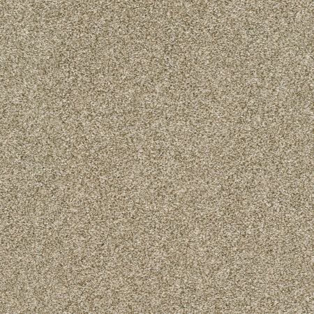 Shaw Floors Nfa Just A Touch I Khaki