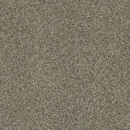 Shaw Floors Nfa Just A Touch I Dreamy Taupe
