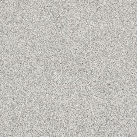 Shaw Floors Pet Perfect Plus Just A Touch II Mist
