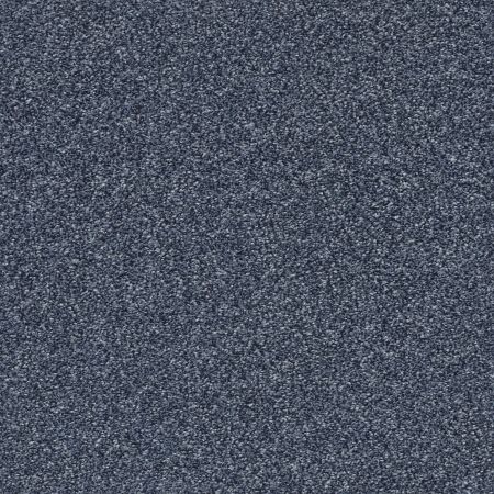 Shaw Floors Pet Perfect Plus Just A Touch II Indigo