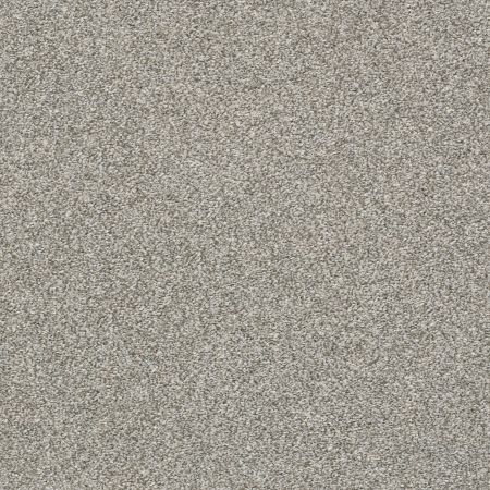 Shaw Floors Pet Perfect Plus Just A Touch II Sterling