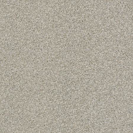 Shaw Floors Pet Perfect Plus Just A Touch II Flax