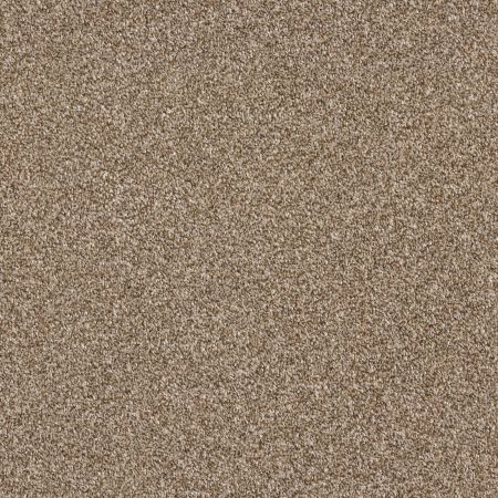 Shaw Floors Pet Perfect Plus Just A Touch II Bronze