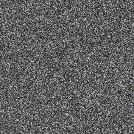 Shaw Floors Nfa Obviously II Steel