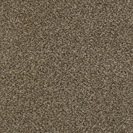 Shaw Floors Nfa Obviously II Leather