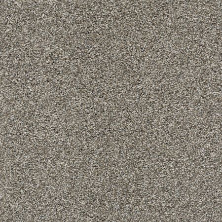 Shaw Floors Nfa It's About Time Bird Bath