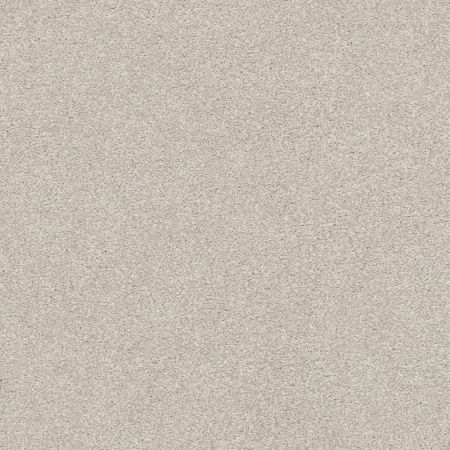 Shaw Floors Nfa/Apg Subtle Charm I Shoreline Haze (s)