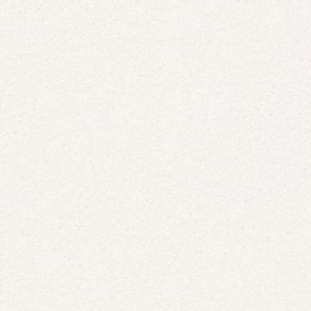 Shaw Floors Nfa/Apg Subtle Charm I Wedding Day (s)