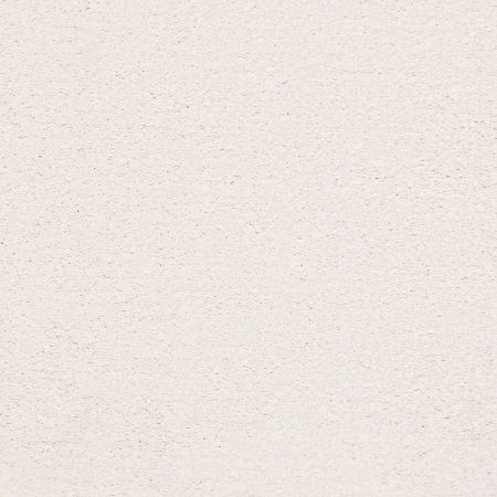 Shaw Floors Nfa/Apg Subtle Charm I Neighborhood Bistro (s)