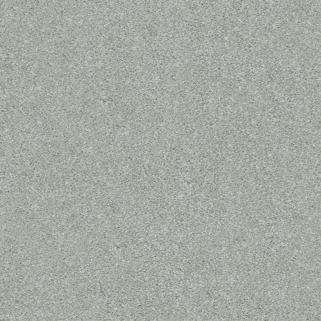 Shaw Floors Nfa/Apg Subtle Charm I Water's Edge (s)