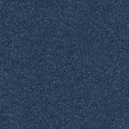 Shaw Floors Nfa/Apg Subtle Charm I River Boat Ride (s)