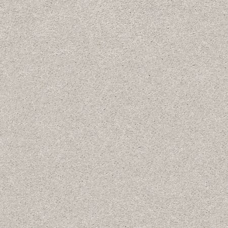 Shaw Floors Nfa/Apg Subtle Charm I Quiet Time (s)