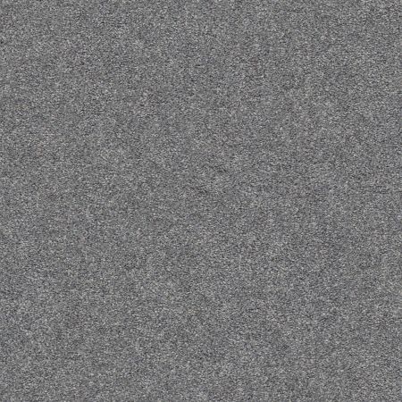 Shaw Floors Nfa/Apg Subtle Charm I Lighthouse Shadows (s)