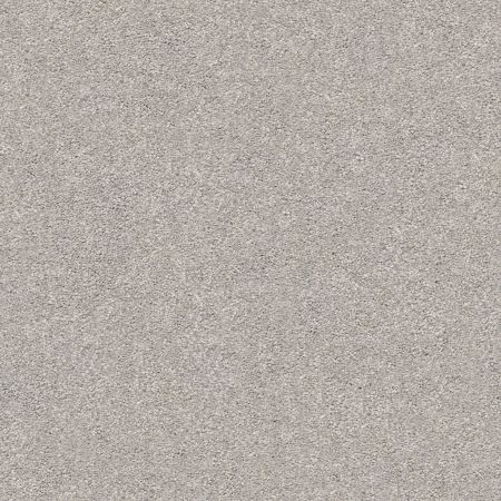 Shaw Floors Nfa/Apg Subtle Charm I Whisper (s)