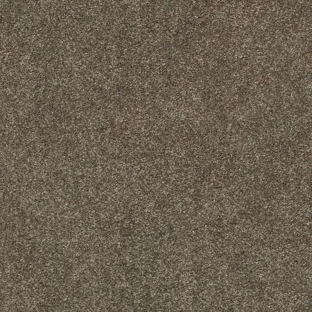 Shaw Floors Nfa/Apg Subtle Charm I Summer House (s)