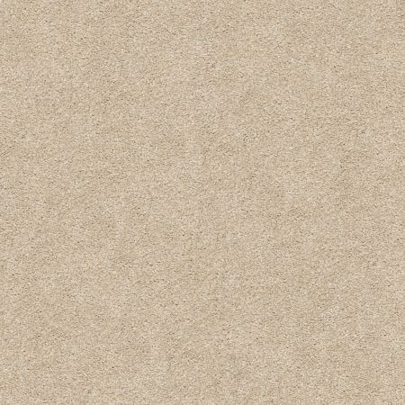 Shaw Floors Nfa/Apg Subtle Charm I Dinner With Friends (s)