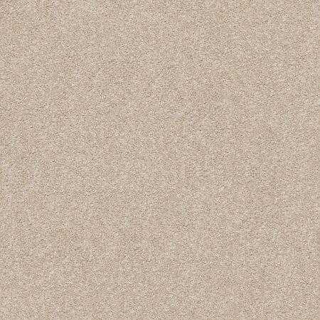 Shaw Floors Nfa/Apg Subtle Charm I My Haven (s)