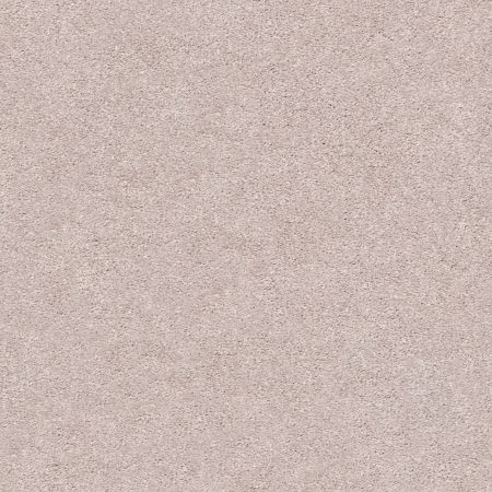 Shaw Floors Nfa/Apg Subtle Charm I Evening In Paris (s)