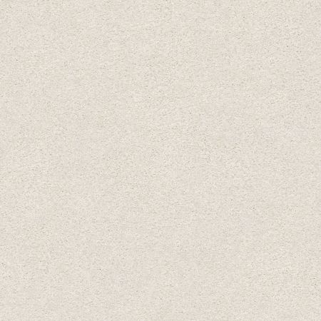 Shaw Floors Nfa/Apg Subtle Charm II Warm Blanket (s)