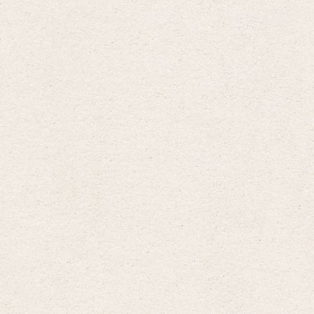 Shaw Floors Nfa/Apg Subtle Charm II Clean Linen (s)