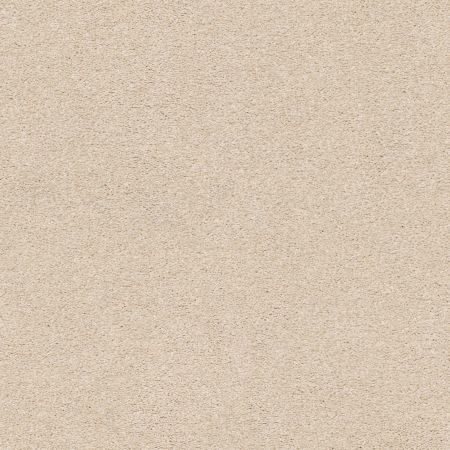 Shaw Floors Nfa/Apg Subtle Charm II Happy Place (s)