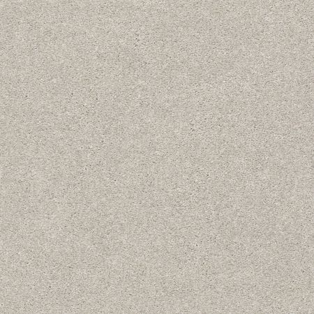 Shaw Floors Nfa/Apg Subtle Charm II Chill In The Air (s)