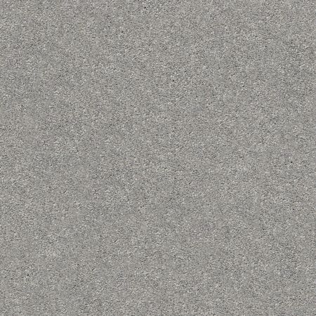 Shaw Floors Nfa/Apg Subtle Charm II Cool Breeze (s)