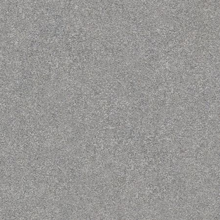 Shaw Floors Nfa/Apg Subtle Charm II Misty Rain (s)