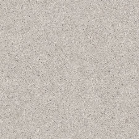 Shaw Floors Nfa/Apg Subtle Charm II Dreamy (s)