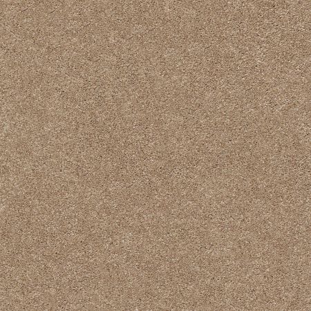 Shaw Floors Nfa/Apg Subtle Charm II Falling Leaves (s)