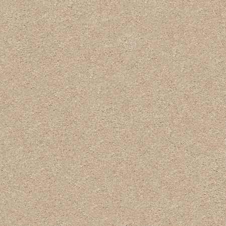 Shaw Floors Nfa/Apg Subtle Charm II Walk On The Beach (s)