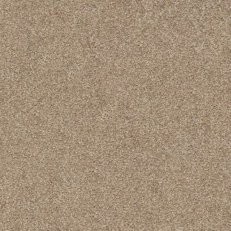 Shaw Floors Nfa/Apg Subtle Charm II Camping Trip (s)