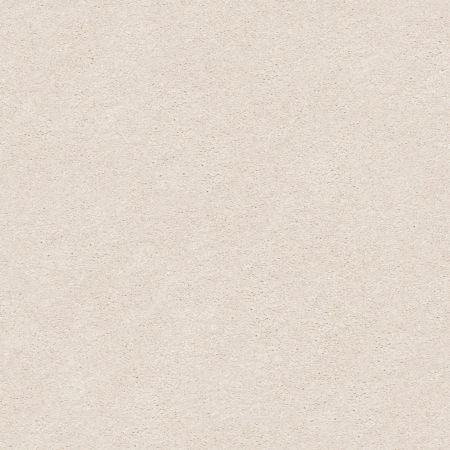 Shaw Floors Nfa/Apg Subtle Charm II Subtle Blush (s)